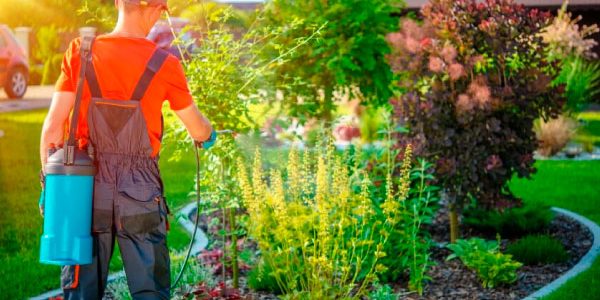 Uso apropiado de insecticidas